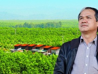 Bách Hoá Xanh sẽ mua toàn bộ trái cây của bầu Đức nếu thị trường có nhu cầu Bách Hoá Xanh sẽ mua toàn bộ trái cây của bầu Đức nếu thị trường có nhu cầu