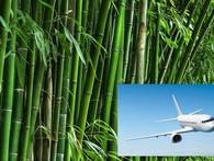 Để có thể "cất cánh", Viet Bamboo Airlines của tỷ phú Trịnh Văn Quyết sẽ phải "xếp hàng" rất lâu sau AirAsia, Vietstar Airlines hay SkyViet Để có thể "cất cánh", Viet Bamboo Airlines của tỷ phú Trịnh Văn Quyết sẽ phải "xếp hàng" rất lâu sau AirAsia, Vietstar Airlines hay SkyViet