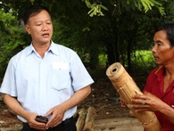 Giấc mơ khởi nghiệp cùng cây đàn Chapi của đồng bào Raglai ở Ninh Thuận Giấc mơ khởi nghiệp cùng cây đàn Chapi của đồng bào Raglai ở Ninh Thuận