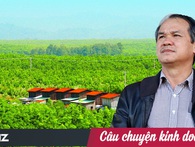 Rút khỏi bất động sản đi trồng cao su, nuôi bò, đến nay là trồng trái cây, liệu bầu Đức có đổi vận? Rút khỏi bất động sản đi trồng cao su, nuôi bò, đến nay là trồng trái cây, liệu bầu Đức có đổi vận?
