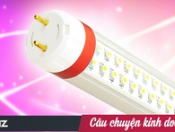 Chuyện cái bóng đèn: 10 năm thu lãi từ "mỏ vàng" Cuba sắp chấm dứt, Điện Quang tìm "hũ bạc" ở đâu? Chuyện cái bóng đèn: 10 năm thu lãi từ "mỏ vàng" Cuba sắp chấm dứt, Điện Quang tìm "hũ bạc" ở đâu?