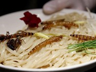 Mỳ côn trùng, cơm dế, nem sâu: Xu hướng ẩm thực đang gây sốt tại Nhật Bản Mỳ côn trùng, cơm dế, nem sâu: Xu hướng ẩm thực đang gây sốt tại Nhật Bản