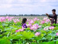 Điều gì tạo nên hiện tượng Đồng Tháp, một tỉnh nghèo lại hay gặp hạn hán, nhưng "máu" khởi nghiệp thì chẳng thua Hà Nội, Tp.HCM ? Điều gì tạo nên hiện tượng Đồng Tháp, một tỉnh nghèo lại hay gặp hạn hán, nhưng "máu" khởi nghiệp thì chẳng thua Hà Nội, Tp.HCM ?