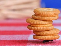 Vì sao người Mỹ làm việc không ngừng nghỉ dù đã trở thành tỷ phú giàu có? Vì sao người Mỹ làm việc không ngừng nghỉ dù đã trở thành tỷ phú giàu có?