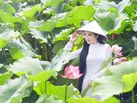 Ngưỡng mộ tinh thần của lãnh đạo Đồng Tháp với khởi nghiệp, một quỹ đầu tư đã đến hỗ trợ các startup của địa phương này Ngưỡng mộ tinh thần của lãnh đạo Đồng Tháp với khởi nghiệp, một quỹ đầu tư đã đến hỗ trợ các startup của địa phương này