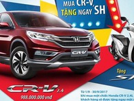 Vì sao các dòng ô tô lắp ráp trong nước đua nhau ‘rớt’ giá? Vì sao các dòng ô tô lắp ráp trong nước đua nhau ‘rớt’ giá?