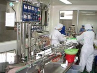 10 năm sau WTO: Lực đỡ từ nước ngoài 10 năm sau WTO: Lực đỡ từ nước ngoài
