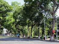 Phố Hà Nội ngày nền nhiệt ngoài trời 50 độ: Trưa vắng tanh như chùa bà Đanh, đêm nườm nượp người đi hóng gió Phố Hà Nội ngày nền nhiệt ngoài trời 50 độ: Trưa vắng tanh như chùa bà Đanh, đêm nườm nượp người đi hóng gió