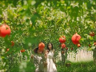 Sau sữa, bà chủ TH mơ làm cuộc cách mạng thứ hai với “nước gấc, rau má, mâm xôi” Sau sữa, bà chủ TH mơ làm cuộc cách mạng thứ hai với “nước gấc, rau má, mâm xôi”