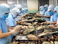 Thúc đẩy phía Hoa Kỳ sớm công nhận Việt Nam là nền kinh tế thị trường Thúc đẩy phía Hoa Kỳ sớm công nhận Việt Nam là nền kinh tế thị trường