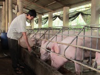 30.000 tỷ đã được ngân hàng giải ngân vào nông nghiệp công nghệ cao 30.000 tỷ đã được ngân hàng giải ngân vào nông nghiệp công nghệ cao