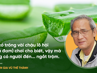 Bài thuốc nổi tiếng thế giới "chữa nhiều bệnh ung thư": Chuyên gia Việt Nam nói gì? Bài thuốc nổi tiếng thế giới "chữa nhiều bệnh ung thư": Chuyên gia Việt Nam nói gì?