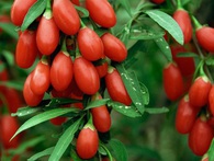 Những loại rau quả tốt hơn nước tăng lực, mọi nam giới nhất định nên ăn Những loại rau quả tốt hơn nước tăng lực, mọi nam giới nhất định nên ăn