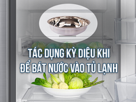 Để 1 bát nước trong tủ lạnh, không chỉ tiết kiệm điện, mà còn có những tác dụng bất ngờ Để 1 bát nước trong tủ lạnh, không chỉ tiết kiệm điện, mà còn có những tác dụng bất ngờ