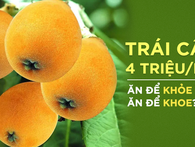 Nhật, TQ để quả này mọc ven đường, về Việt Nam 4 triệu/kg: Giá trị dinh dưỡng đến đâu? Nhật, TQ để quả này mọc ven đường, về Việt Nam 4 triệu/kg: Giá trị dinh dưỡng đến đâu?