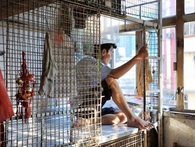 Số phận người giúp việc ở Hồng Kông: ngủ trong nhà vệ sinh, trên nóc tủ lạnh Số phận người giúp việc ở Hồng Kông: ngủ trong nhà vệ sinh, trên nóc tủ lạnh