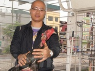 Con gà chọi giá nửa tỷ đồng của tay chơi Hà Thành Con gà chọi giá nửa tỷ đồng của tay chơi Hà Thành