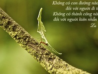 Chuyện tối thứ 4: "Giờ thì con đã biết chúng ta nghèo như thế nào rồi…" Chuyện tối thứ 4: "Giờ thì con đã biết chúng ta nghèo như thế nào rồi…"