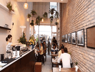 Nhiều chủ quán kinh doanh café độc lạ nhưng hầu hết thu về trái đắng, vì sao vậy? Nhiều chủ quán kinh doanh café độc lạ nhưng hầu hết thu về trái đắng, vì sao vậy?