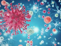 Tìm ra kháng thể giết được 99% chủng virus HIV, hy vọng lớn cho những người bị HIV Tìm ra kháng thể giết được 99% chủng virus HIV, hy vọng lớn cho những người bị HIV