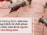 Dù ở biệt thự, ngủ phòng máy lạnh, 3 điều quan trọng chống sốt xuất huyết không thể bỏ qua Dù ở biệt thự, ngủ phòng máy lạnh, 3 điều quan trọng chống sốt xuất huyết không thể bỏ qua