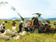 Tạo ra cuộc cách mạng về chất cho hạt gạo Việt Tạo ra cuộc cách mạng về chất cho hạt gạo Việt