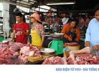 Giá thịt lợn bắt đầu tăng từ 2.000 - 8.000 đ/kg tại nhiều địa phương Giá thịt lợn bắt đầu tăng từ 2.000 - 8.000 đ/kg tại nhiều địa phương