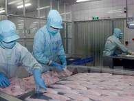 Hoa Kỳ lại nâng mức thuế chống bán phá giá cá tra Việt Nam Hoa Kỳ lại nâng mức thuế chống bán phá giá cá tra Việt Nam