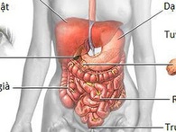 Căn bệnh ung thư chỉ có 4/100 người sống trên 5 năm: Cảnh báo từ cơn đau bụng Căn bệnh ung thư chỉ có 4/100 người sống trên 5 năm: Cảnh báo từ cơn đau bụng