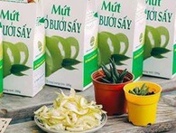 Từ những phụ phẩm như vỏ bưởi, vỏ chanh, thầy trò ĐH Nông Lâm đã tạo ra món snack sấy dẻo, nâng giá trị lên cả ngàn lần Từ những phụ phẩm như vỏ bưởi, vỏ chanh, thầy trò ĐH Nông Lâm đã tạo ra món snack sấy dẻo, nâng giá trị lên cả ngàn lần