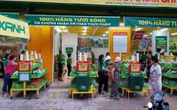 Bách Hóa Xanh vừa có tháng mở rộng mạnh nhất từ trước đến nay: Mỗi ngày mở 2 cửa hàng, ngang ngửa thời kỳ bùng nổ của chuỗi Thegioididong.com Bách Hóa Xanh vừa có tháng mở rộng mạnh nhất từ trước đến nay: Mỗi ngày mở 2 cửa hàng, ngang ngửa thời kỳ bùng nổ của chuỗi Thegioididong.com