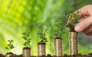 5 giải pháp cần thực hiện nhằm phát triển khu vực kinh tế hàng năm tạo ra 1 triệu việc làm, đóng góp hơn 43% GDP 5 giải pháp cần thực hiện nhằm phát triển khu vực kinh tế hàng năm tạo ra 1 triệu việc làm, đóng góp hơn 43% GDP
