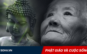 Bỏ mẹ già đi tìm đức phật, chàng trai gặp người cần tìm ở nơi chưa bao giờ ngờ đến! Bỏ mẹ già đi tìm đức phật, chàng trai gặp người cần tìm ở nơi chưa bao giờ ngờ đến!