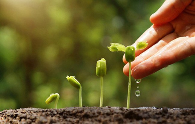 Bài tập về nhà và cách chữa bài tập đáng kinh ngạc của cô giáo Nhật: Làm cha mẹ nhất định phải đọc!