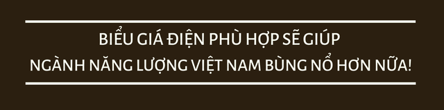  CEO dự án điện khí 6 tỷ USD ở miền Trung: Khi giá điện mới được áp dụng, người dân sẽ mua sắm theo hướng xanh hơn  - Ảnh 5.