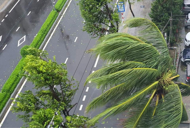 Đường phố Quảng Ngãi xơ xác, nhà dân tốc mái trước khi bão số 9 đổ bộ - Ảnh 8.