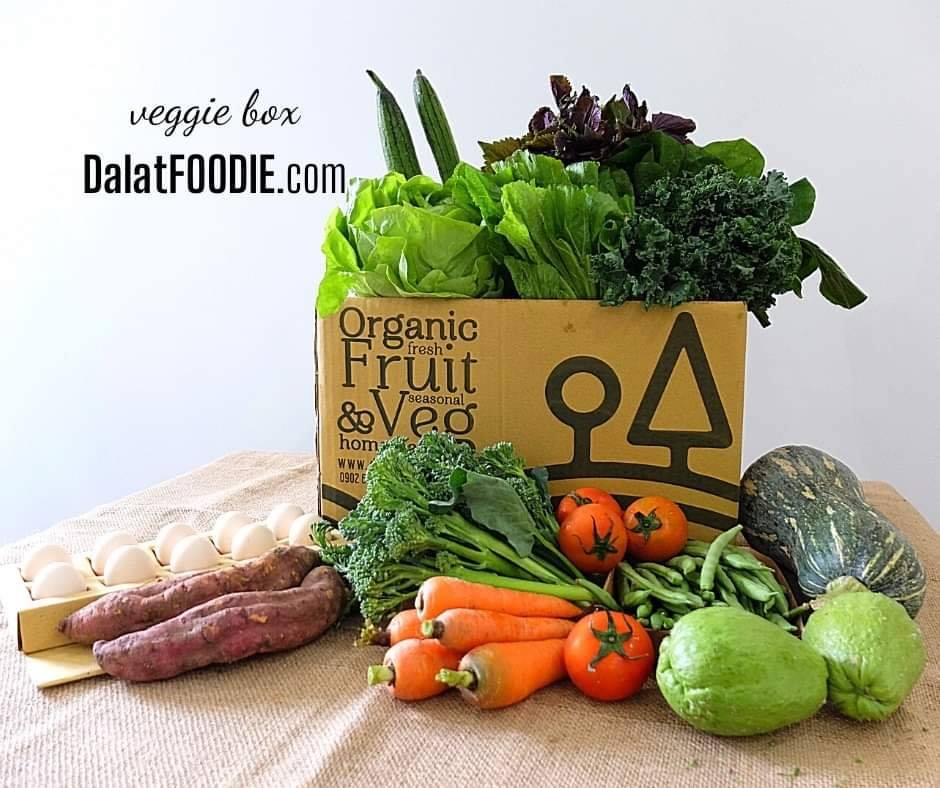 Startup Dalat Foodie đã làm gì để sống sót khi chỉ còn 1/4 nhân viên và thành công thuyết phục cá mập khó tính như Shark Việt đồng ý xuống tiền? - Ảnh 2.