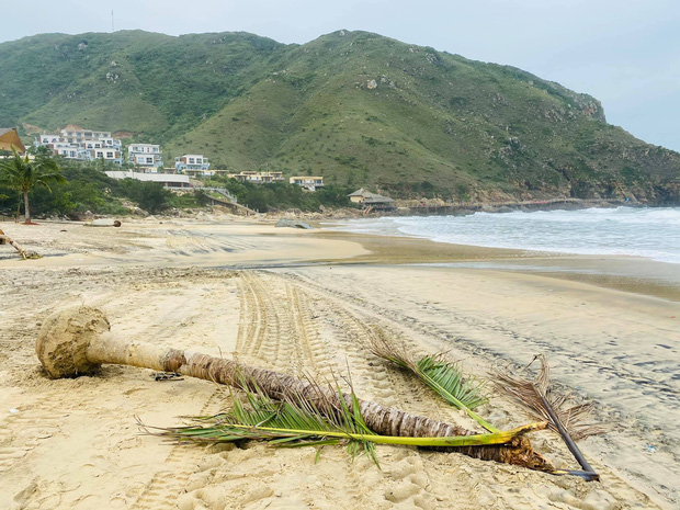 Bãi biển Quy Nhơn 1 ngày sau bão số 9: Khung cảnh tan hoang, các công trình du lịch bị phá huỷ gần như toàn bộ - Ảnh 6.