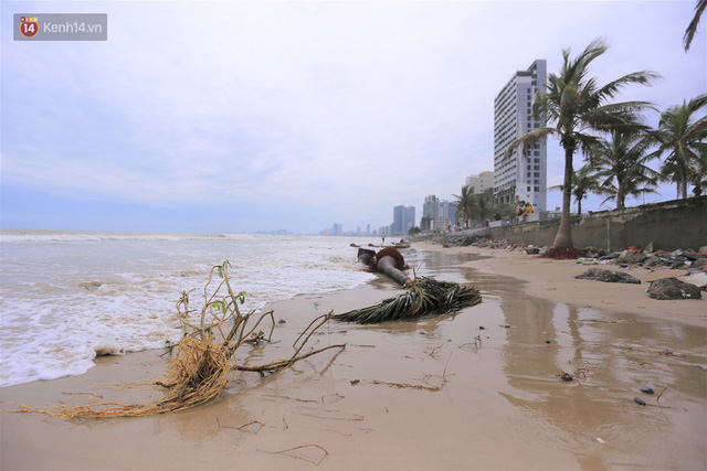  Ảnh: Cận cảnh bãi biển đẹp nhất hành tinh tan hoang, xơ xác sau bão số 13  - Ảnh 16.