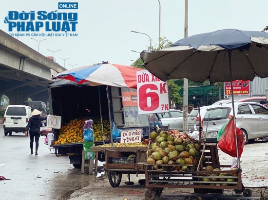  Tiểu thương hé lộ bí mật bất ngờ phía sau những trái dừa xiêm 6k tràn lan khắp phố  - Ảnh 1.