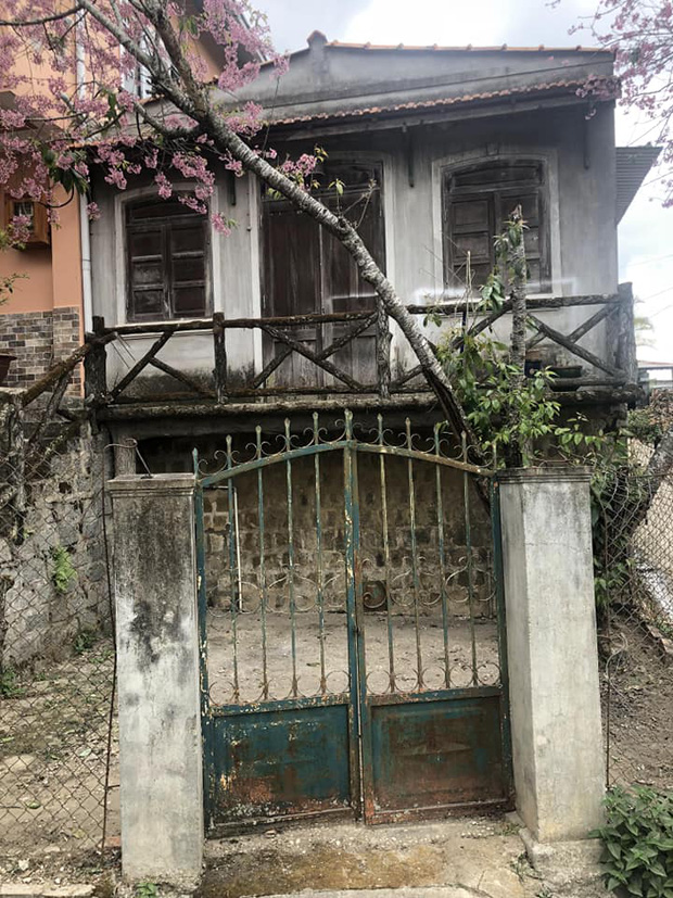 Chỉ vì thích 1 cây anh đào trước cổng ở Đà Lạt, chàng trai mua luôn cả căn nhà cũ và cải tạo thành nơi cực đáng sống - Ảnh 2.
