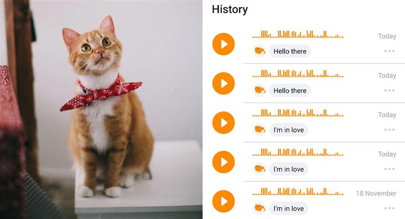 Con người sắp giao tiếp được với loài mèo nhờ ứng dụng này - Ảnh 2.