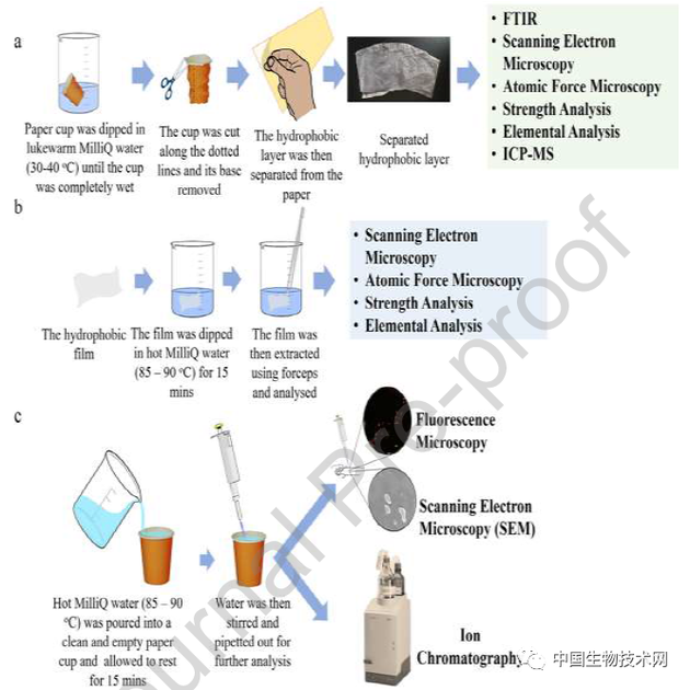  Dùng cốc giấy đựng cà phê nóng, thứ bạn uống sẽ không chỉ là cafein mà còn đầy ắp những thứ đáng sợ này  - Ảnh 3.