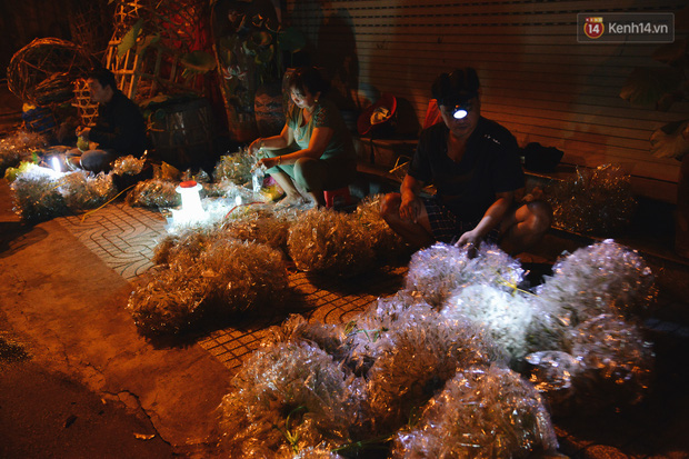 Cận cảnh chợ côn trùng độc nhất Sài Gòn, mỗi ngày chỉ họp đúng 2 tiếng lúc nửa đêm - Ảnh 3.