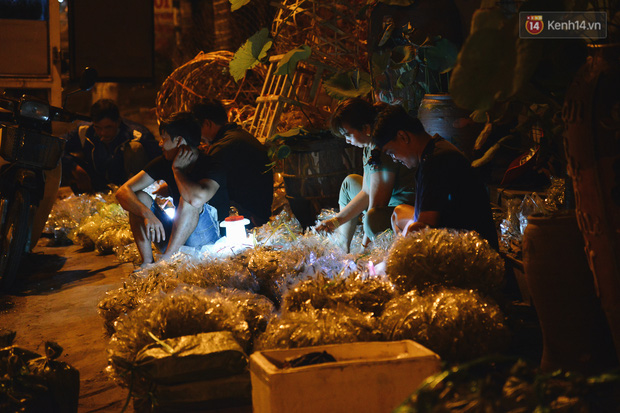 Cận cảnh chợ côn trùng độc nhất Sài Gòn, mỗi ngày chỉ họp đúng 2 tiếng lúc nửa đêm - Ảnh 7.