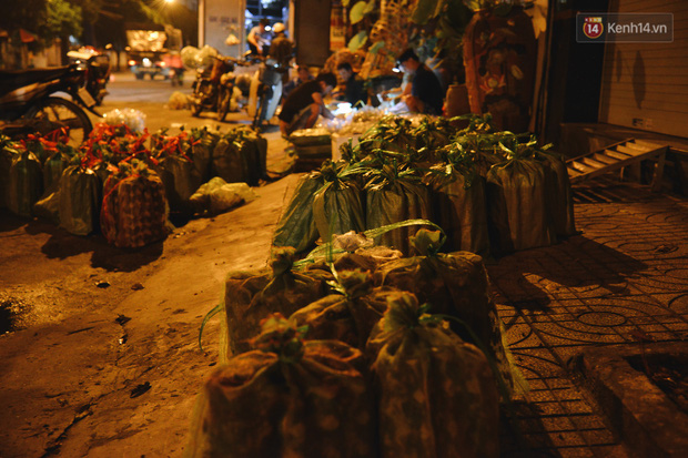 Cận cảnh chợ côn trùng độc nhất Sài Gòn, mỗi ngày chỉ họp đúng 2 tiếng lúc nửa đêm - Ảnh 8.