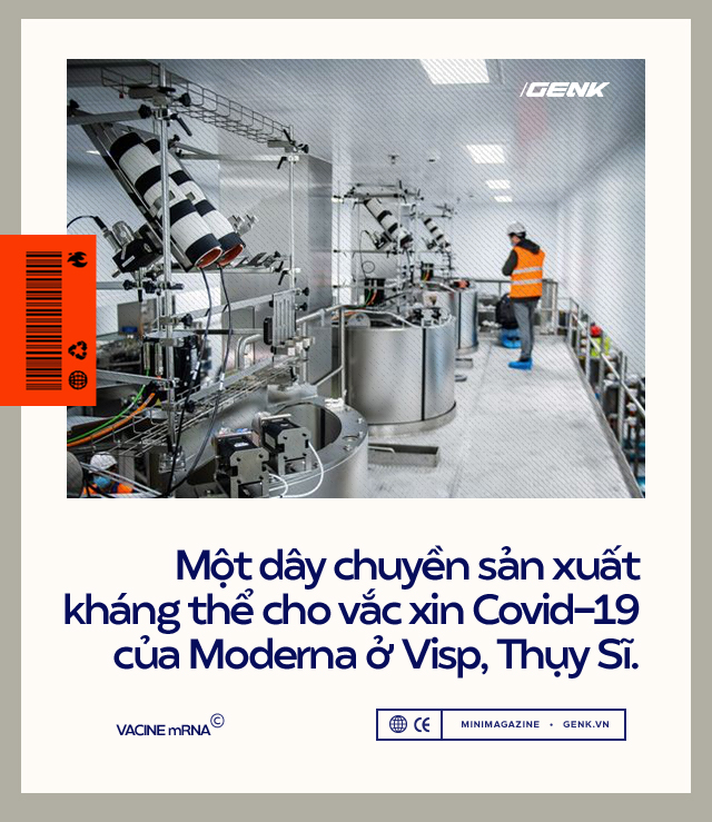 Vắc-xin mRNA: Từ sau Bức Màn Sắt Thế chiến II đến khoảnh khắc cứu thế giới khỏi COVID-19 - Ảnh 8.