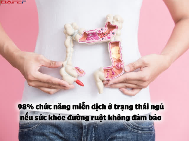  Chìa khóa sức khỏe rẻ đến không ngờ: Gần 80% chức năng miễn dịch của cơ thể tồn tại ở đây  - Ảnh 1.