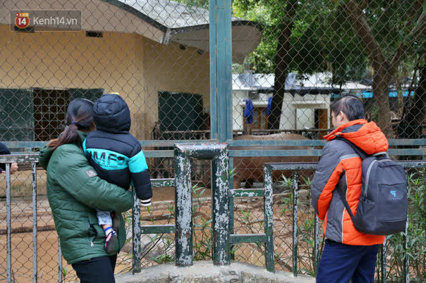Ảnh: Động vật tại vườn bách thú Thủ Lệ co ro, ủ rũ trong cái lạnh “thấu xương” ở Thủ Đô - Ảnh 16.