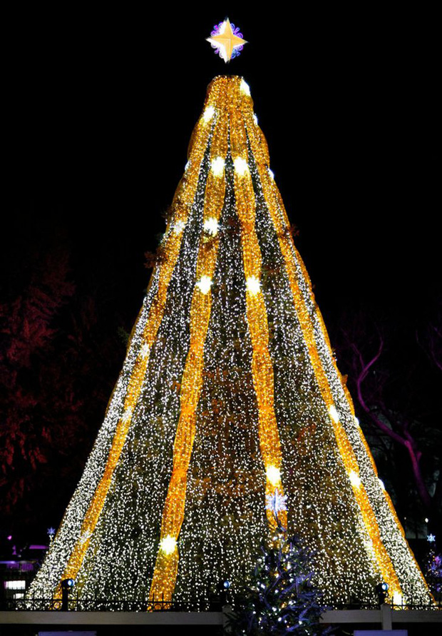 Những cây thông Noel đặc biệt được ghi nhớ nhất trong lịch sử các mùa Giáng sinh khắp thế giới, kỳ công đến mức khiến ai cũng phải trầm trồ - Ảnh 8.